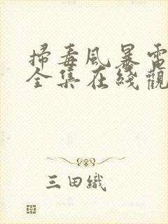 扫毒风暴电视剧全集在线观看免费高清