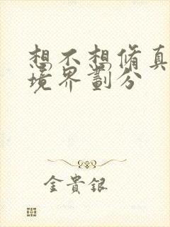 想不想修真肉身境界划分