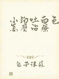 小狗吐白色粘液怎么治疗