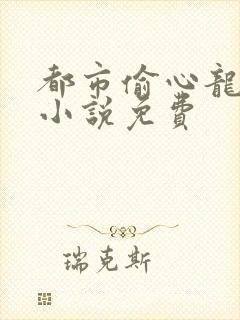 都市偷心龙爪手小说免费