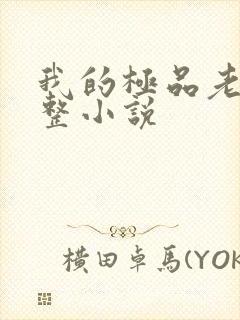 我的极品老婆完整小说