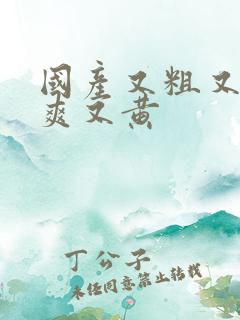 国产又粗又猛又爽又黄