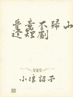 爱意不归山水相逢短剧