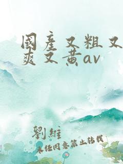 国产又粗又猛又爽又黄av