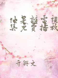 他是谁电视剧全集免费播放在线观看