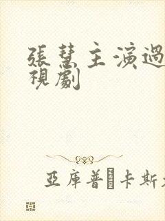 张慧主演过的电视剧