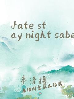 fate stay night saber