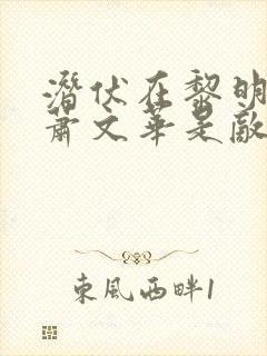 潜伏在黎明之前萧文华是敌还是友