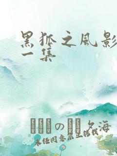黑狐之风影最后一集
