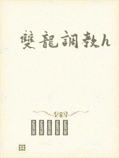 双龙调教h