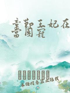 章节王妃在京城当团宠