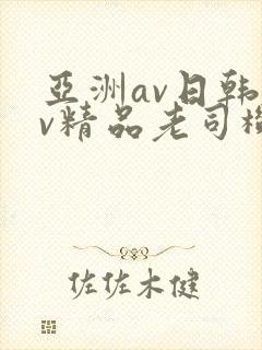 亚洲av日韩av精品老司机