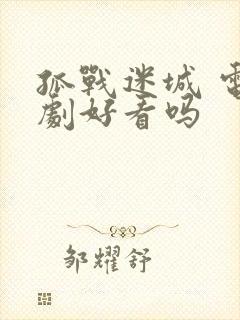 孤战迷城 电视剧好看吗