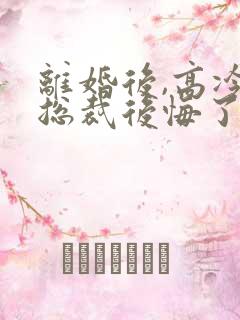 离婚后,高冷女总裁后悔了txt下载