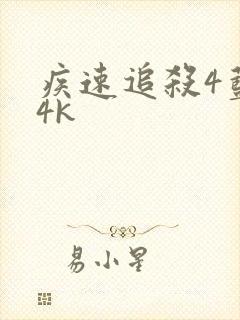 疾速追杀4蓝光4k