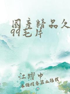 国产精品久久久99毛片