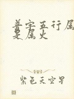 普字五行属水还是属火