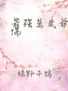 最强万岁爷 石佛