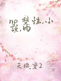 np 双性,小说,肉