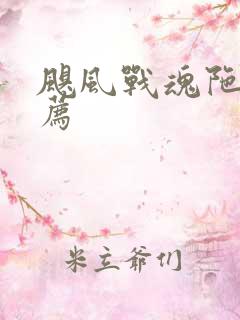 飓风战魂陀螺推荐