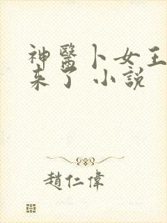 神医卜女王妃回来了 小说