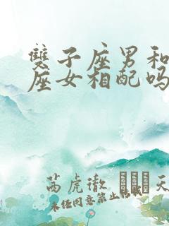 双子座男和射手座女相配吗