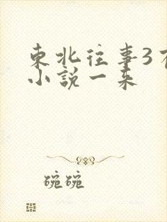 东北往事3有声小说一来