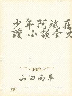 少年阿斌在线阅读 小说全文免费