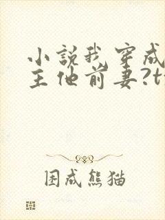 小说我穿成了男主他前妻?txt