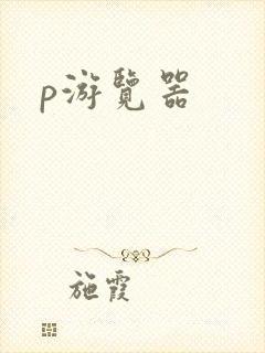 p游览器