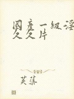 国产一级淫片久久久片