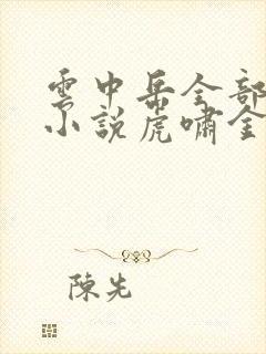 云中岳全部武侠小说虎啸金陵