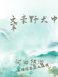 文豪野犬中也太宰