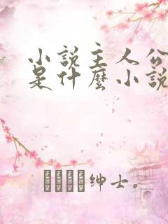 小说主人公叶玄是什么小说名