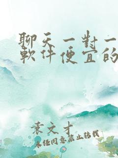 聊天一对一视频软件便宜的