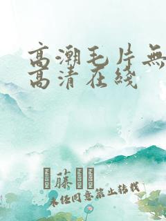 高潮毛片无遮挡高清在线