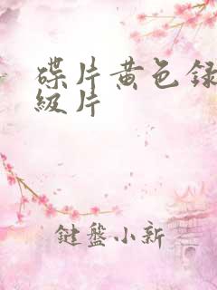 碟片黄色录像一级片