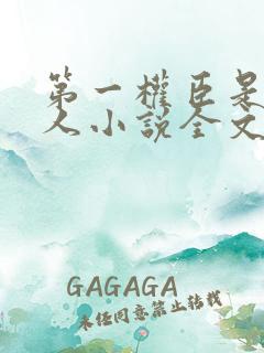 第一权臣是病美人小说全文免费阅读