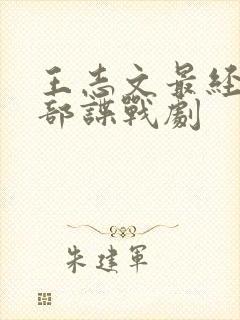 王志文最经典十部谍战剧