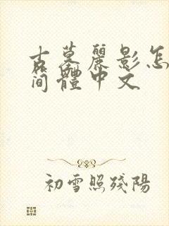 古墓丽影怎么调简体中文