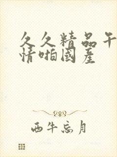 久久精品午夜激情啪国产