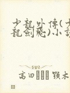 少龙外传(少年龙剑飞)小说下载