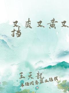 又爽又黄又无遮挡