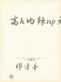 高h肉辣np文