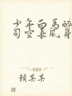 少年白马醉春风司空长风身世