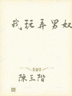 我玩弄男奴