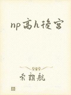 np高h后宫