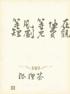 等风等他在回头短剧免费观看