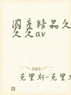 国产精品久久久久久av