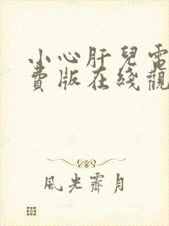 小心肝儿电影免费版在线观看